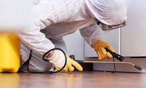 Best Real Estate Pest Inspections  in Libertyvle, IL